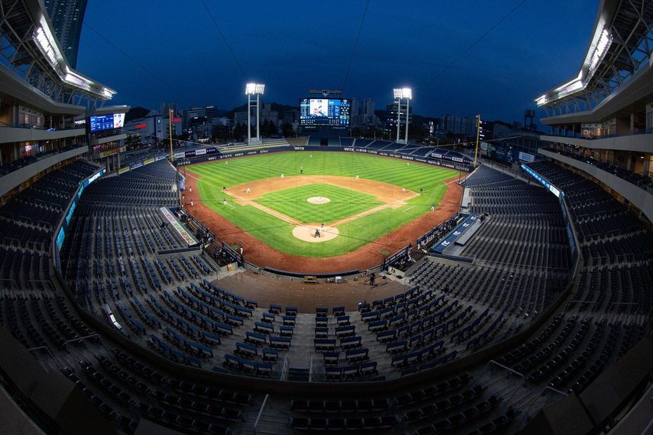 Ufficiale: il baseball italiano riparte da Codogno-Piacenza