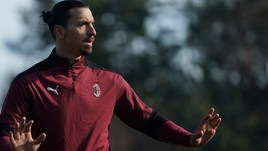 Ibrahimovic esagerato: si compra un bosco da tre milioni!