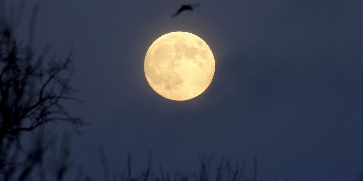 Svelato il mistero della “casa” sulla Luna