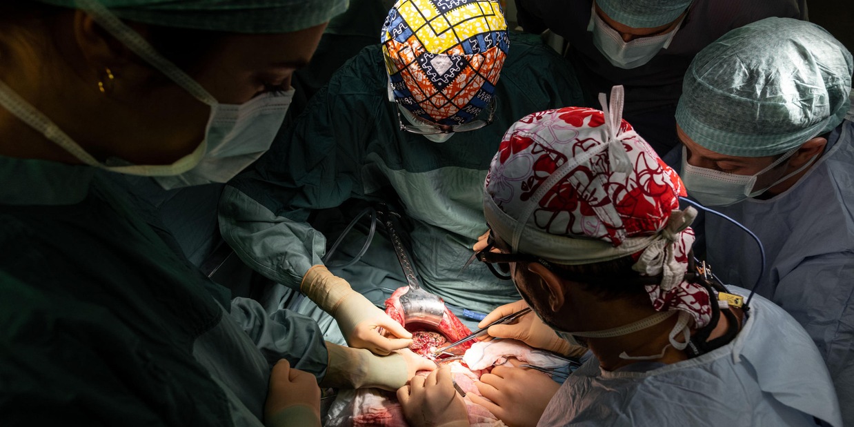 Stati Uniti: a un uomo è stato trapiantato il cuore di un maiale