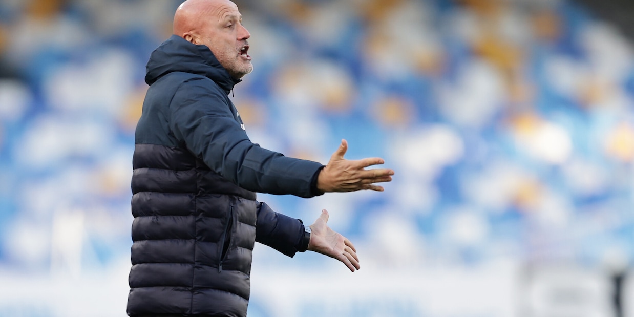 Probabili formazioni Salernitana-Spezia: aggiornamenti