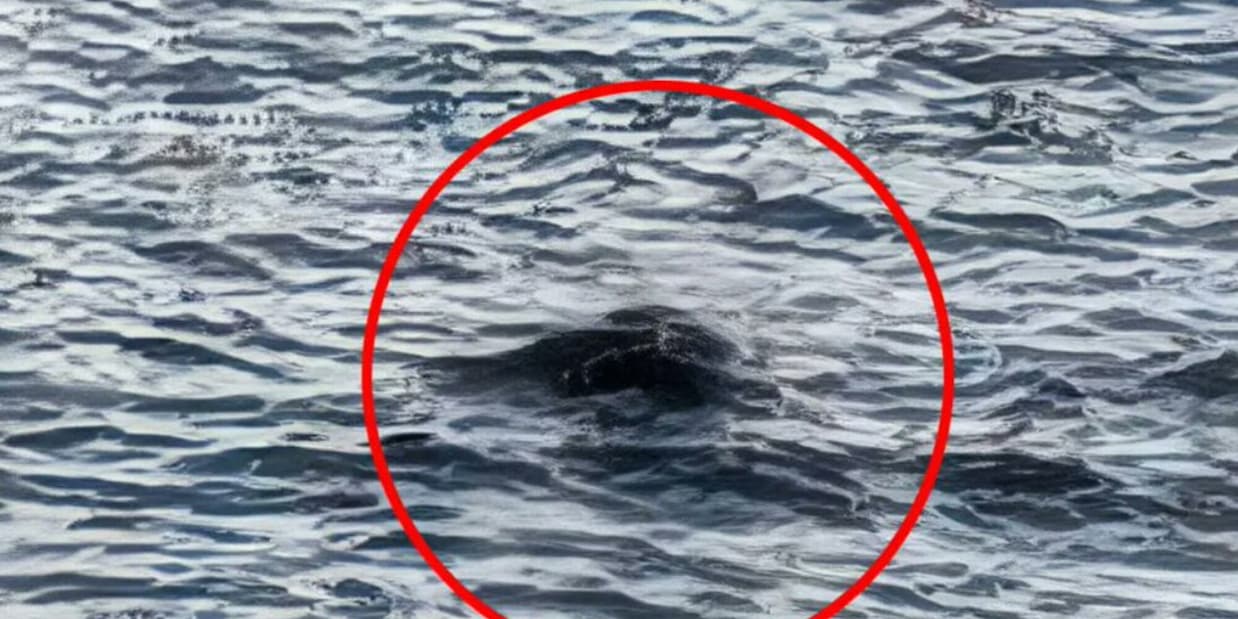 Nuovo avvistamento del mostro di Loch Ness: la fotografia mostra  una "massa nera" sott'acqua