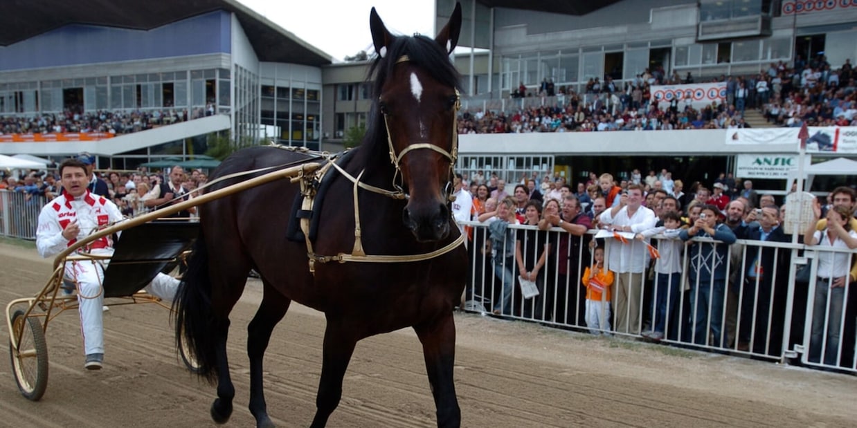Varenne, i suoi primi trenta anni. Agnano dà il via ai festeggiamenti