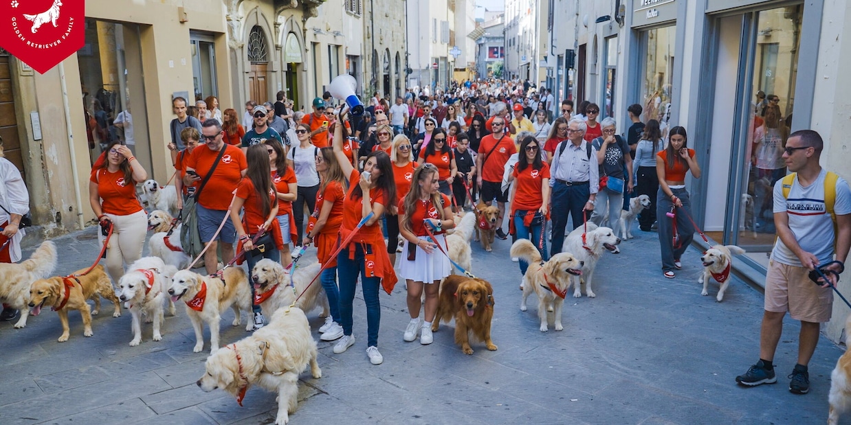 Invasione di Golden Retriever ad Arezzo: festa in città per un evento speciale