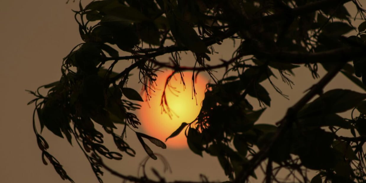 Uno scienziato ha previsto la fine del mondo nel 2026, c'è la data precisa