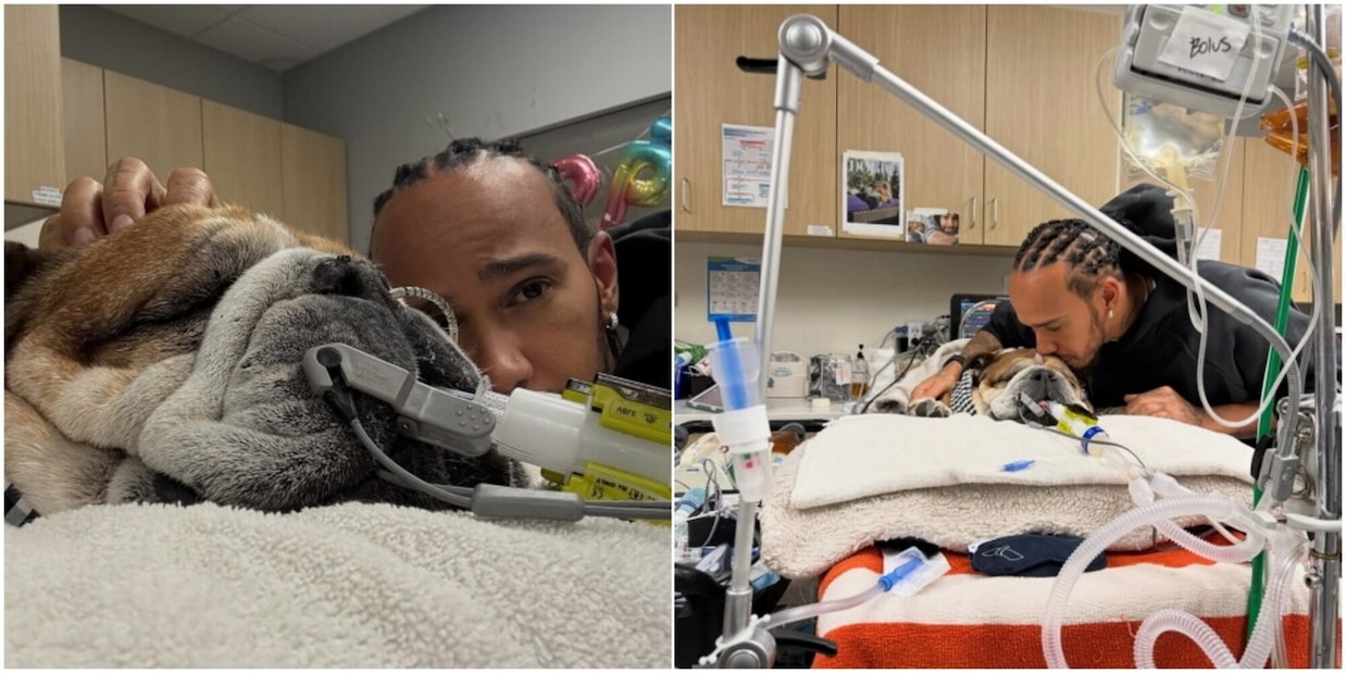 Hamilton e la commovente dedica per il suo cane malato di polmonite