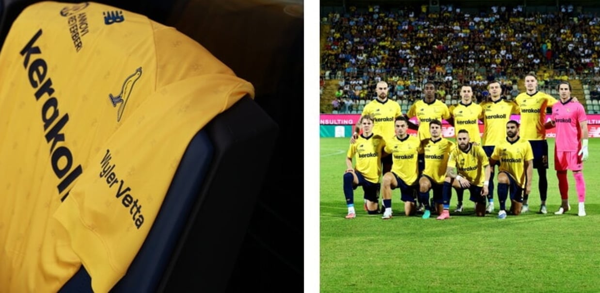 Wyler Vetta sponsor del Modena FC