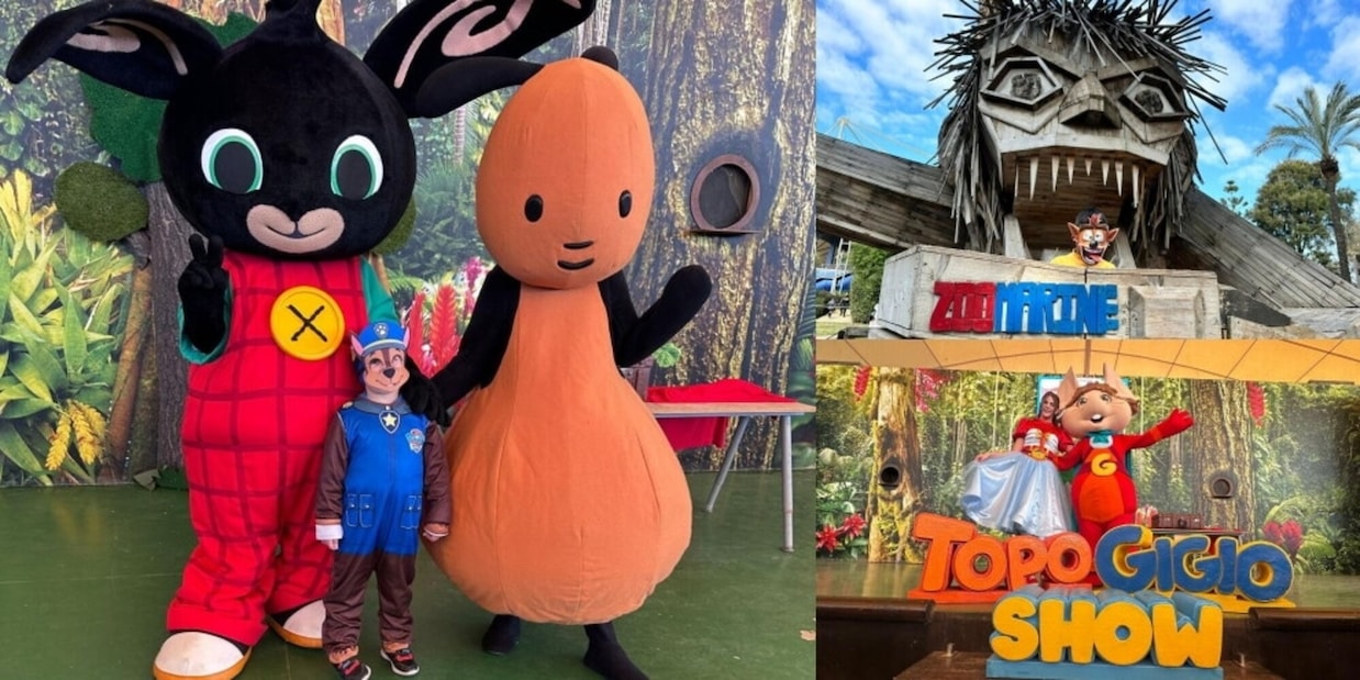 Al via “K-Pop Carnival Contest" a Zoomarine