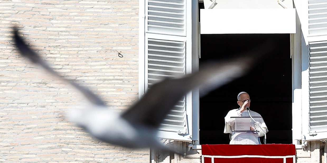 
            
            Il Papa, le strategie militari non danno futuro all'umanità
          