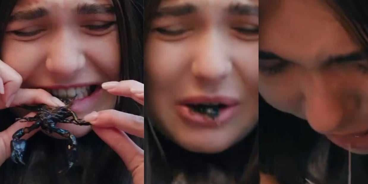 Chanel Totti mangia scorpioni a Pechino Express e finisce male
 