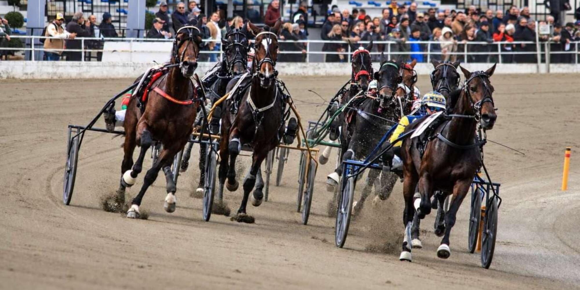 Torino, trotto da sogno l'11 ottobre a Vinovo: Derby e Oaks, Grand Prix UET e finale UET Elite Circuit