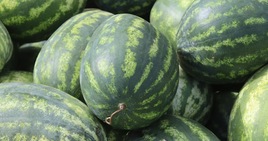 Mescolare le bucce di cocomero con l'olio: perché è consigliato