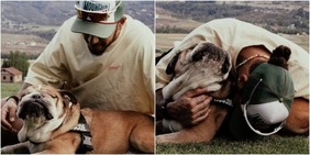 Morto il cane di Hamilton, la storia di Roscoe aveva commosso il mondo