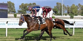 Il cavallo di Allegri perde di... corto muso: il racconto da Capannelle
