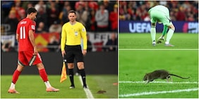 Un topo 'invade' il campo a Cardiff durante Galles-Belgio: la reazione di Courtois