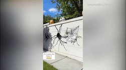 Diamanti, "guerra" coi vicini per Halloween