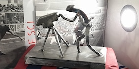 Bologna, l'esultanza di Orsolini diventa un'opera d'arte