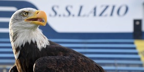 La Lazio annuncia la nuova aquila: tifosi in estasi per la presentazione social del club. Intanto Olimpia...