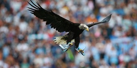 Lazio, Bove, cronaca e Juve: le ultimissime