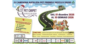 “Pet Carpet: Un riciclo da Oscar”: sostenibilità a 4 zampe