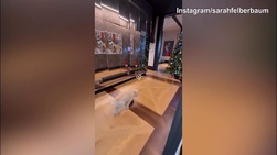 De Rossi torna a Roma e fa una sorpresa al figlio: il video è commovente