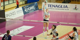 Fasano corsara in casa di Altino