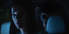 Ben – Rabbia Animale: online il nuovo spot dell’horror ora al cinema