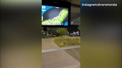 Morata, che classe a Golf!