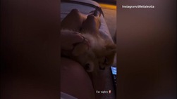 Diletta Leotta, serata perfetta