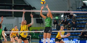 Challenge Cup: Vallefoglia sfida il KHG Kaposvári per entrare in finale