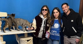 Napoli, Politano cuore d'oro: Matteo e la moglie Alessandra commuovono i tifosi. I dettagli