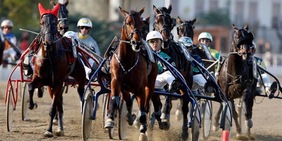 Ippica, Torino attende il GP Costa Azzurra: Vinovo casa del trotto europeo, una storia che si rinnova dal 1961