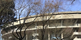 Il Verona sceglie lo studio Gensler per il nuovo stadio: "Progetto non subordinato a Euro 2032"