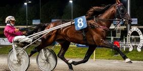 Cesena, prima classica della stagione: sabato 4 luglio il Gran Premio Riccardo Grassi
