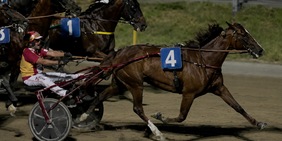 Cesena, prova di forza di Elise Ana: suo il Gran Premio Riccardo Grassi
