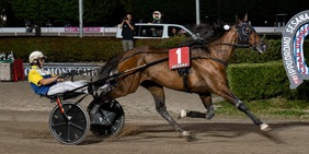 Montecatini, successo di Goodbye Kiss nel 73° Gran Premio Nello Bellei