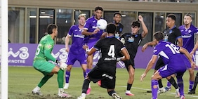 Fiorentina, stiamo calmi