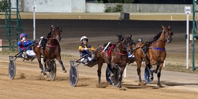 Casarano, spettacolo nel 1° Gran Premio del Salento: successi di Giotto Ek e Gioconda Jet, strapotere Gocciadoro-Di Nardo