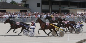 Ferrara Sport Festival: il 26 settembre il trotto amatoriale scende in pista