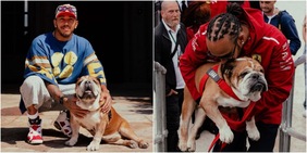 La dolce dedica di Hamilton ad un anno dalla morte di Roscoe: "Mi manca il mio migliore amico"
