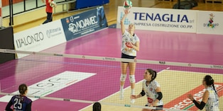 Fasano corsara in casa di Altino