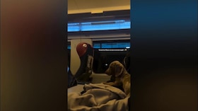 Pisilli, la famiglia si allarga