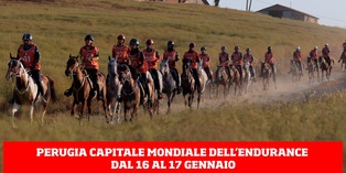 Il Forum mondiale dell’Endurance equestre arriva in Umbria