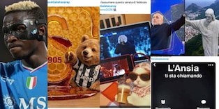 Osimhen con la maglia del Napoli, Spalletti 'sconvolto' e l'orsetto bianconero con il miele: social scatenati dopo l'eliminazione della Juve dalla Champions