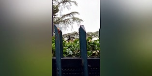 Milan, l'elicottero di Cardinale lascia Milanello