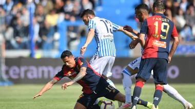 Spal, Regini ko: dovrà operarsi al menisco