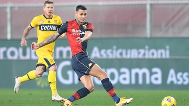 Genoa, Marroccu: "Scamacca non sarà ceduto a gennaio"