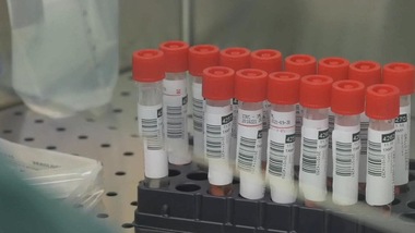 Vaccino Covid: il furgone con le prime dosi è arrivato in Italia