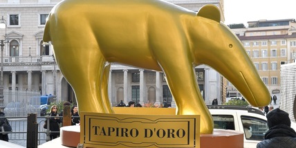 Striscia la notizia, giornata mondiale del Tapiro: 10 curiosità