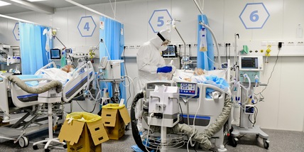 Coronavirus in Italia: 256 morti, tasso di positività al 4,9 per cento